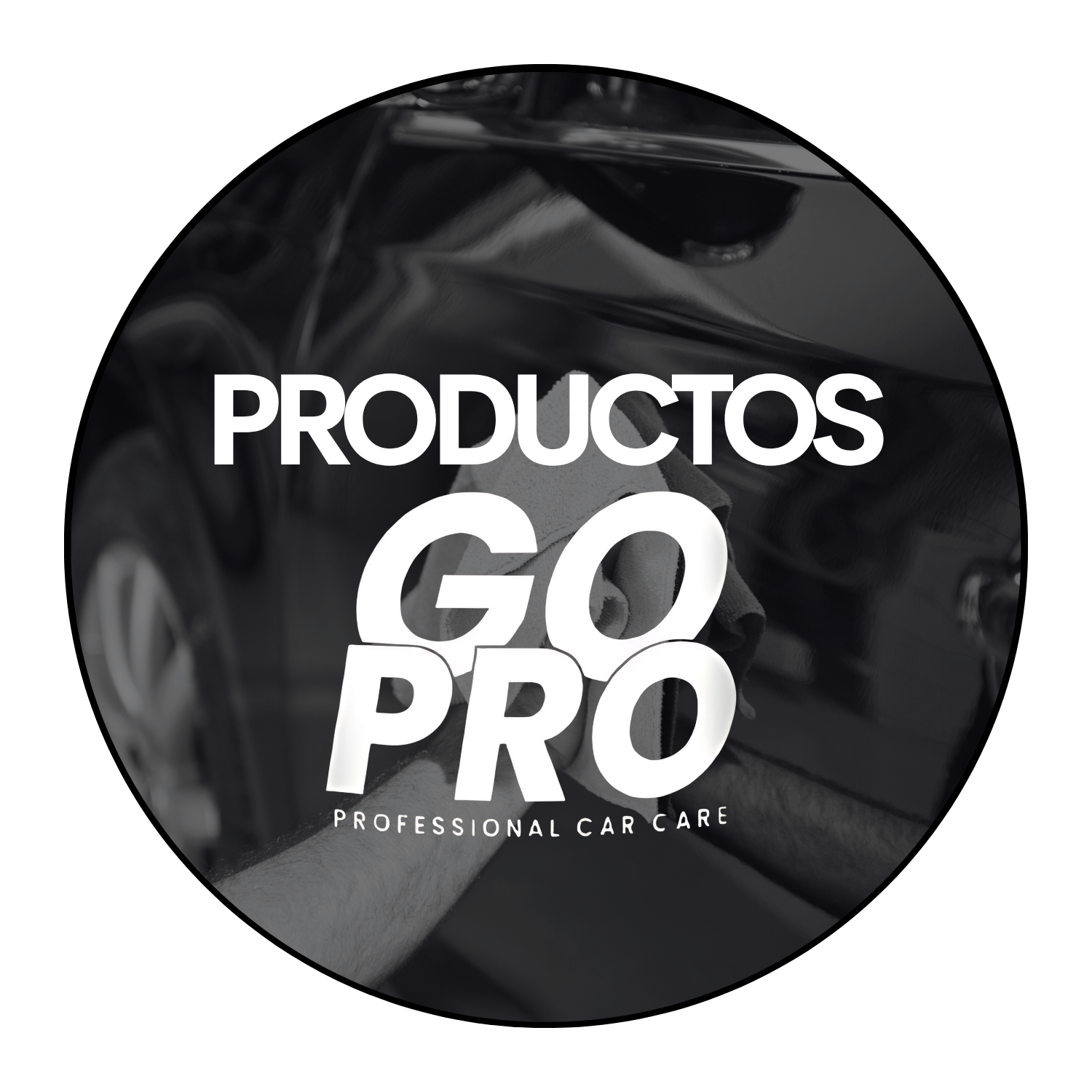 Productos Go Pro